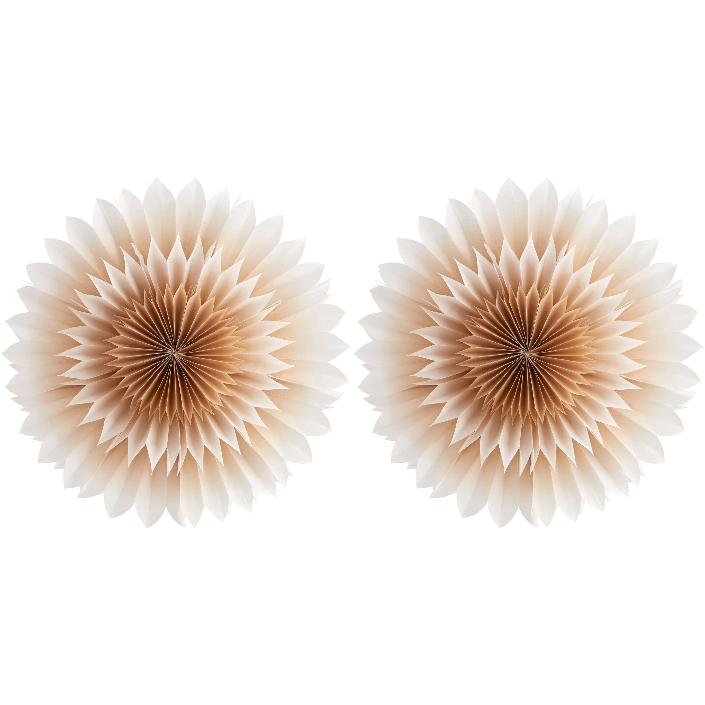 Department Lily Pappersstjärna 50 cm Golden Beige 2-pack