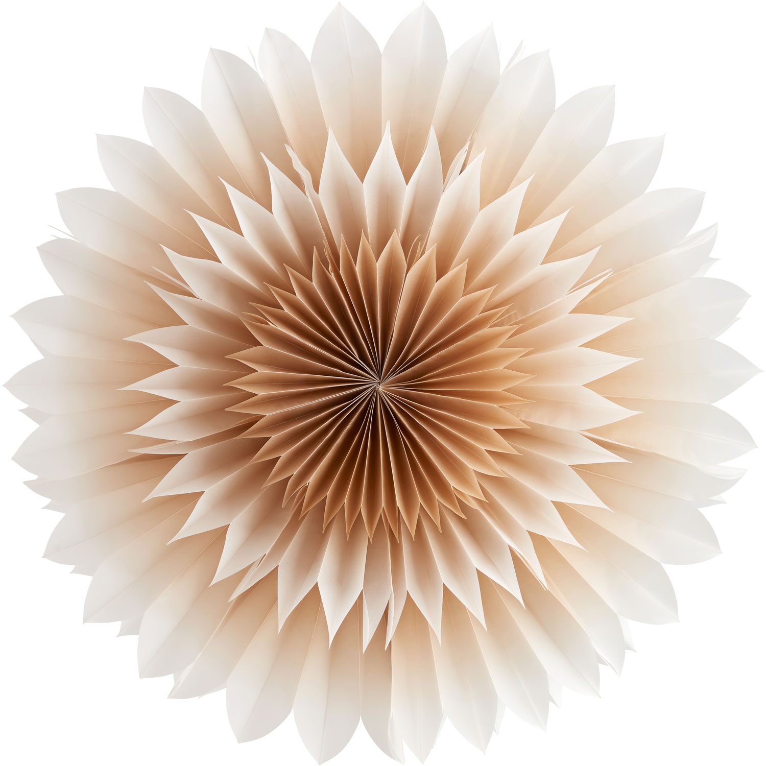 Department Lily Pappersstjärna Golden Beige