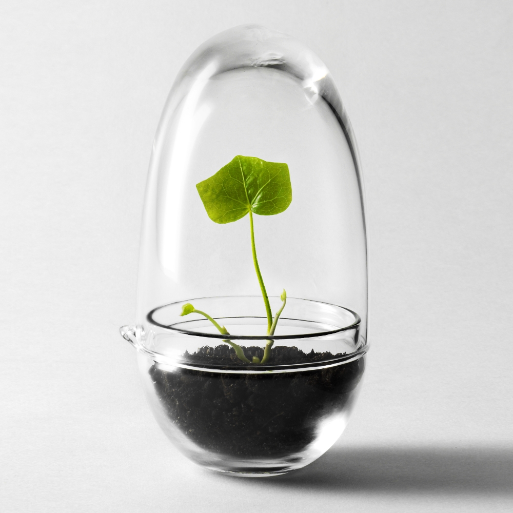 Grow Pienoiskasvihuone S, Kirkas - Design House Stockholm @ 