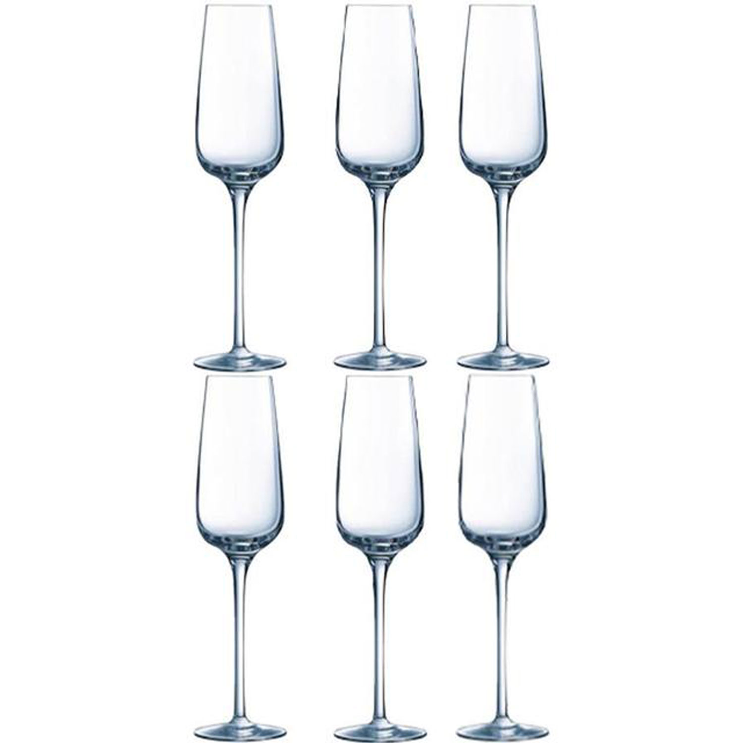 6 champagne clearance glasses