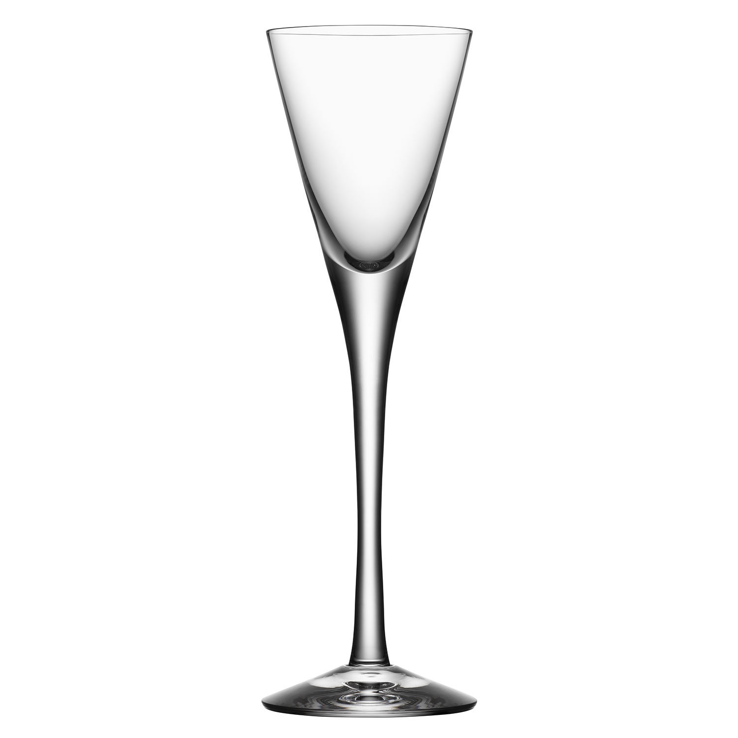 More Coupe Champagne Glass 21 cl, 6-pack - Orrefors @ RoyalDesign